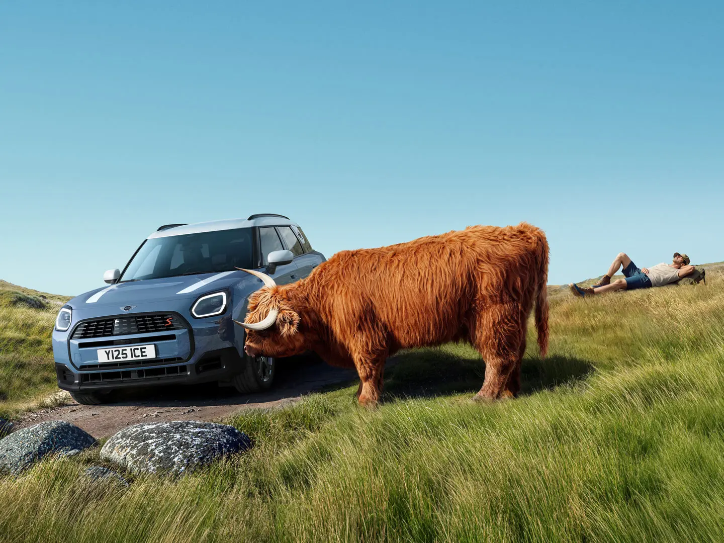 MINI Service with Proactive Care – man relaxing on a hill near his MINI Countryman S ALL4 with a Highland Bull for company.